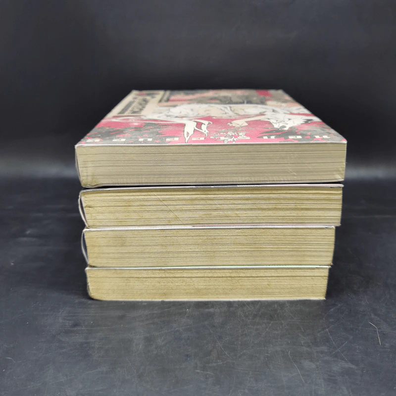 ล็อกฮอไรซอน Log Horizon เล่ม 1-4 - Touno Mamare รูปที่ 3