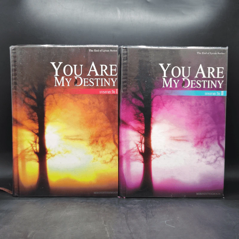 You Are My Destiny 2 เล่มจบ - มารยาตะวัน รูปที่ 1