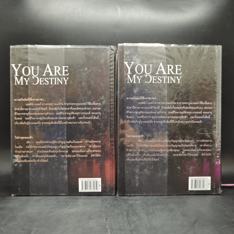 You Are My Destiny 2 เล่มจบ - มารยาตะวัน รูปที่ 2