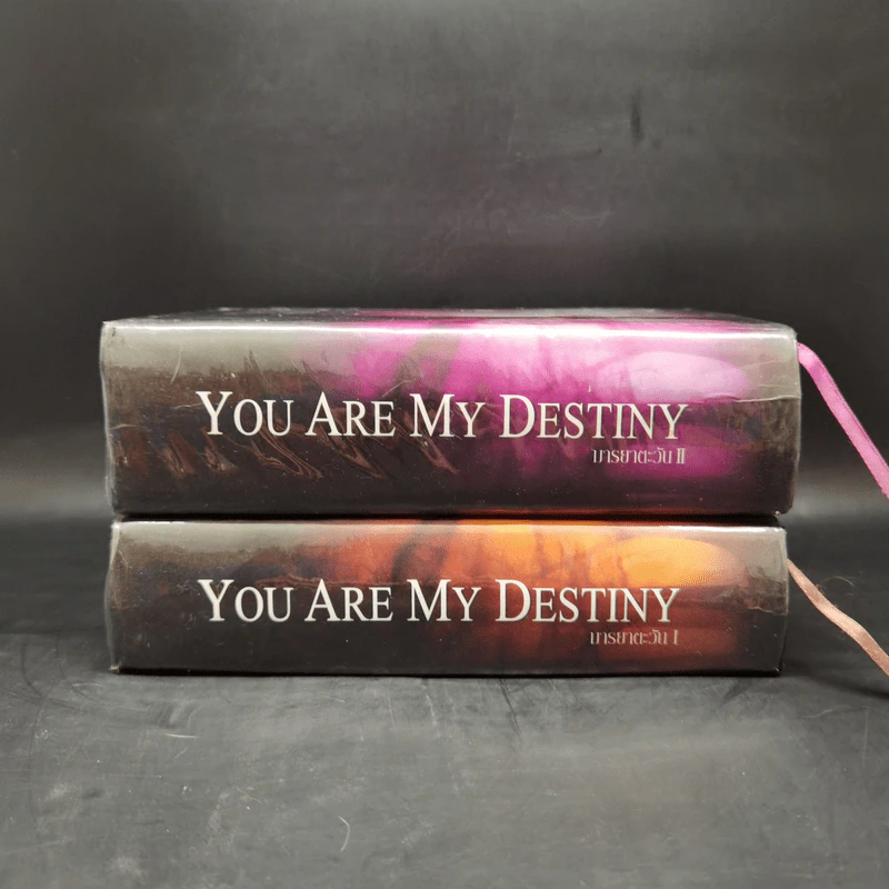 You Are My Destiny 2 เล่มจบ - มารยาตะวัน รูปที่ 3
