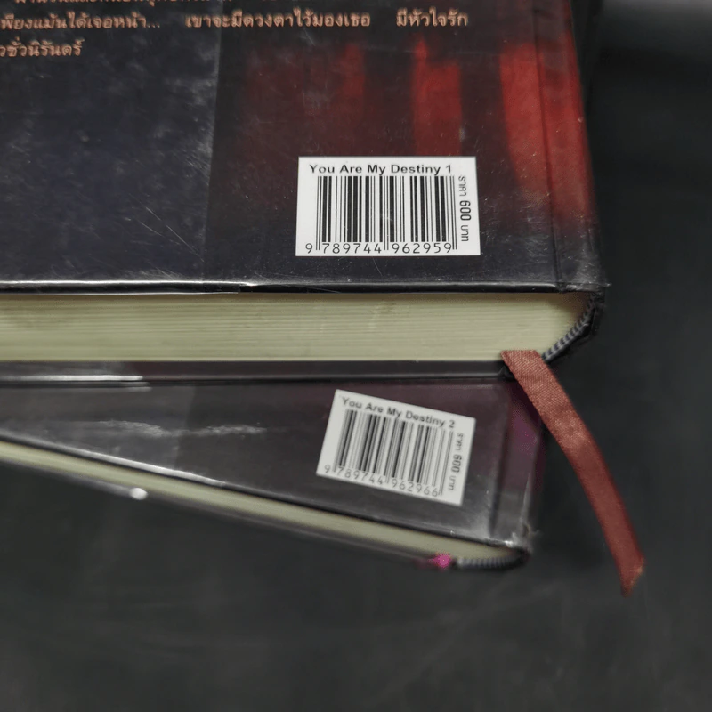 You Are My Destiny 2 เล่มจบ - มารยาตะวัน รูปที่ 13