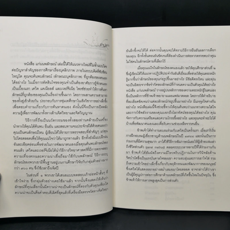 แก่นนพลักษณ์ คู่มือค้นหาและพัฒนาตนเอง - เดวิค แดเนียลส์, เวอร์จิเนีย ไพรซ์ รูปที่ 9
