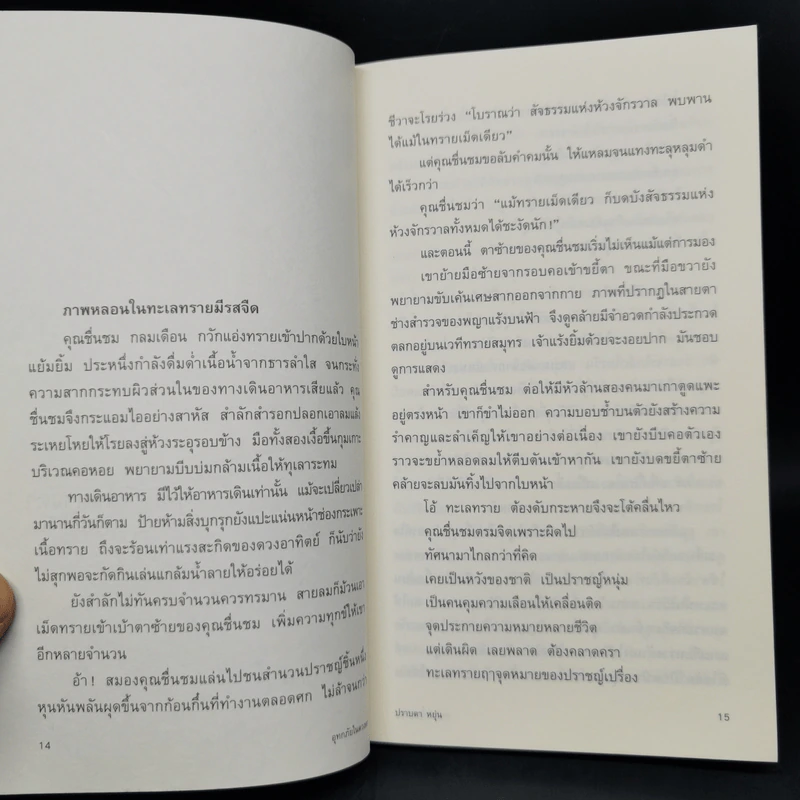 อุทกภัยในดวงตา - ปราบดา หยุ่น รูปที่ 11