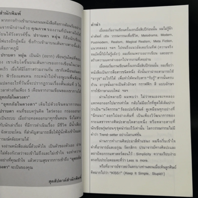 อุทกภัยในดวงตา - ปราบดา หยุ่น รูปที่ 10