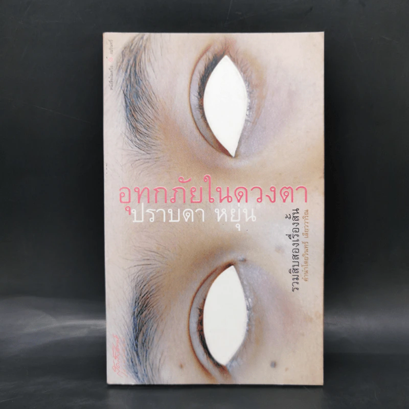 อุทกภัยในดวงตา - ปราบดา หยุ่น รูปที่ 1