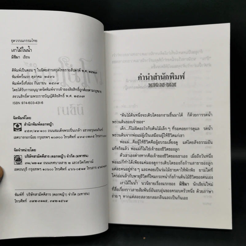 เงาไม้ในน้ำ - มิชิมา รูปที่ 8
