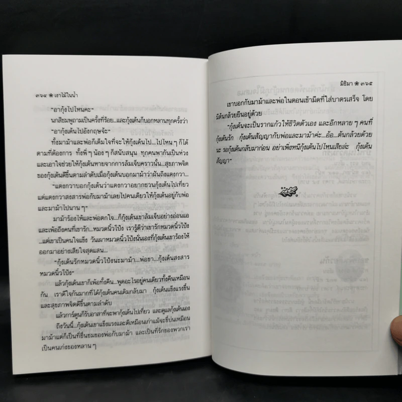 เงาไม้ในน้ำ - มิชิมา รูปที่ 12