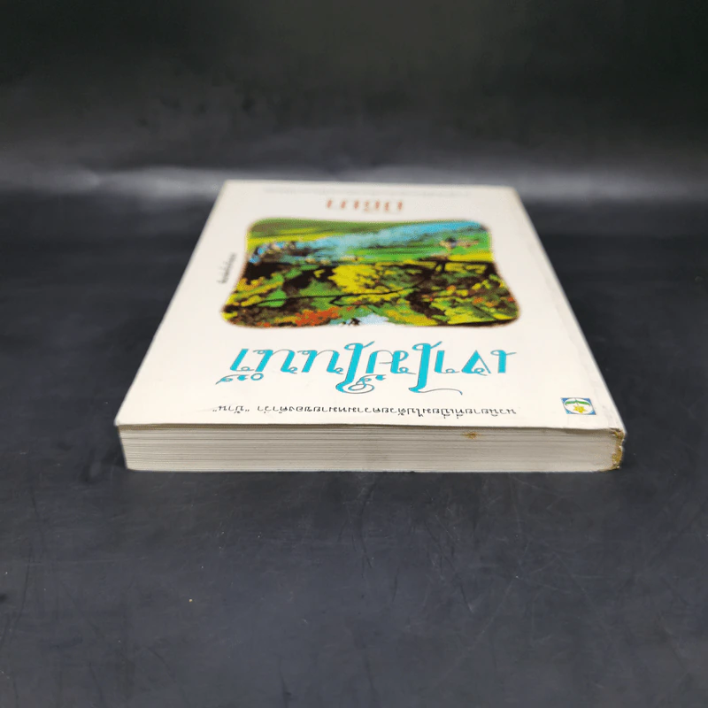 เงาไม้ในน้ำ - มิชิมา รูปที่ 6