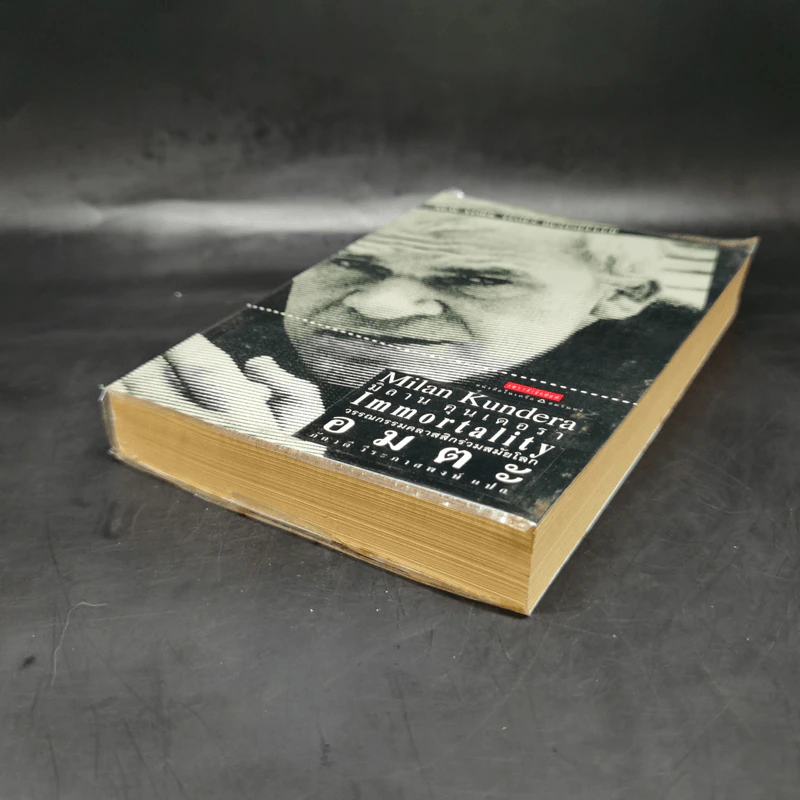 อมตะ Immortality - Milan Kundera รูปที่ 7