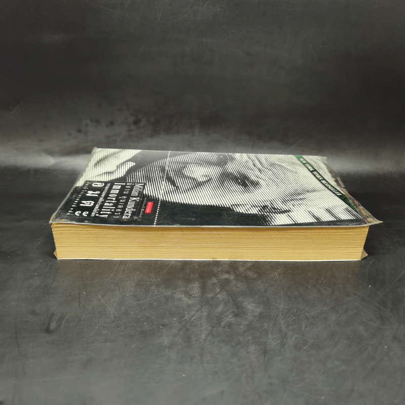 อมตะ Immortality - Milan Kundera รูปที่ 5