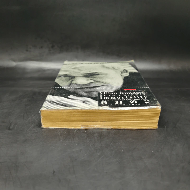 อมตะ Immortality - Milan Kundera รูปที่ 4
