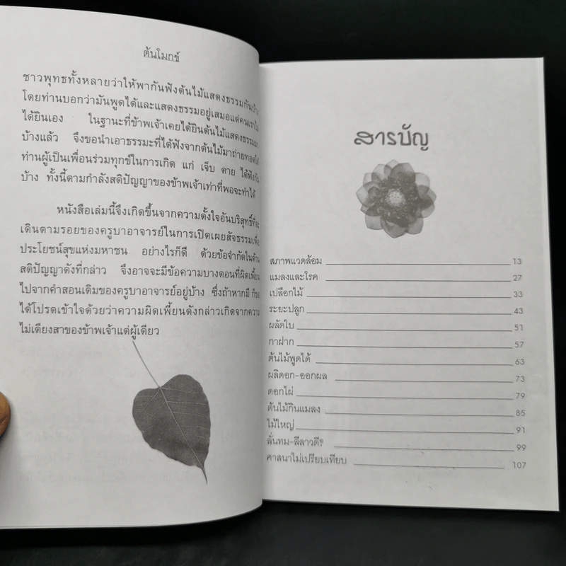 ต้นโมกข์ - แก้ว-ขวัญ รูปที่ 10