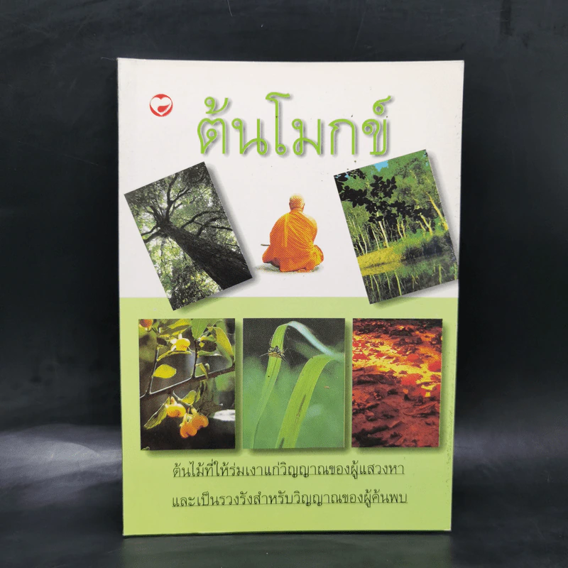 ต้นโมกข์ - แก้ว-ขวัญ รูปที่ 1