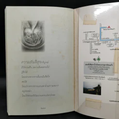 ความจริงไม่มีใครทุกข์ - พระครูใบฎีกา อำนาจ โอภาโส รูปที่ 12