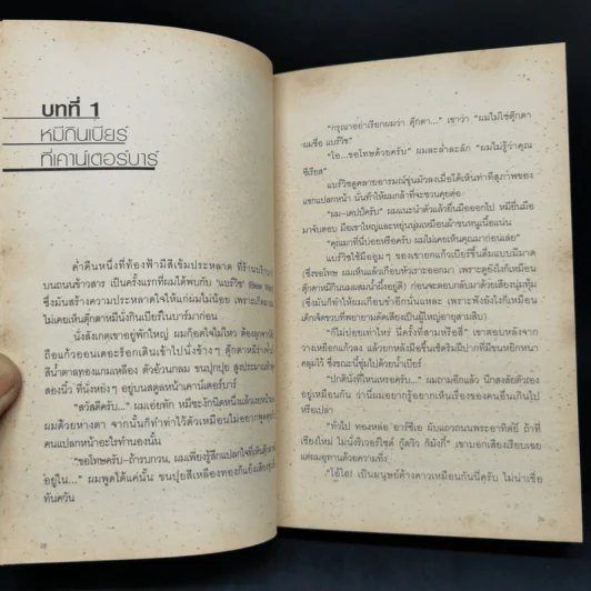 Bearwish - วงศ์ทนง ชัยณรงค์สิงห์ รูปที่ 11