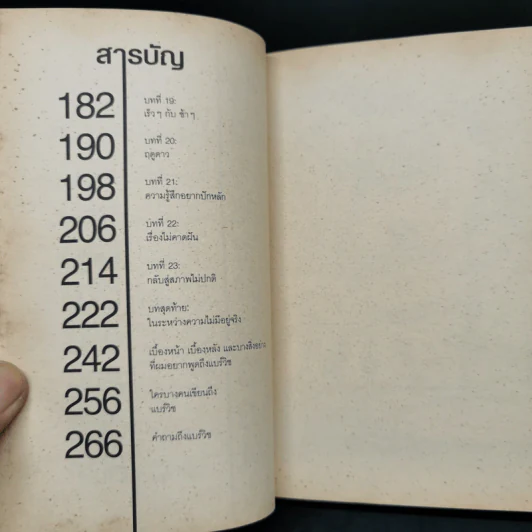 Bearwish - วงศ์ทนง ชัยณรงค์สิงห์ รูปที่ 10