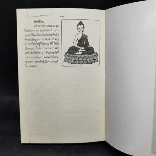 พจนานุกรมพระพุทธศาสนา ฉบับการ์ตูน รูปที่ 12