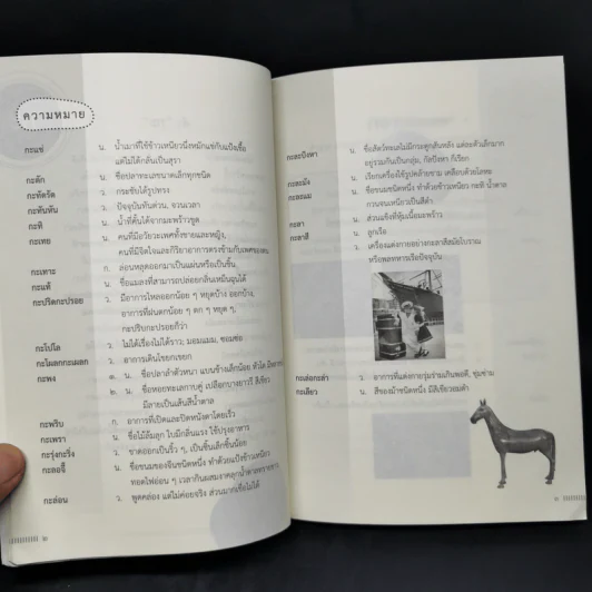 กาพย์ช่วยจำ คำที่มักใช้ผิด - จงจิต (กล้วยไม้) นิมมานนรเทพ รูปที่ 11