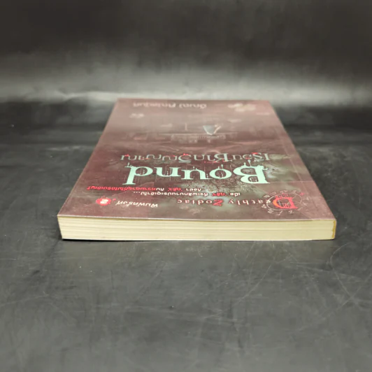 Bound เรือนซากวิญญาณ - อัณณ์ คณัสนันท์ รูปที่ 6