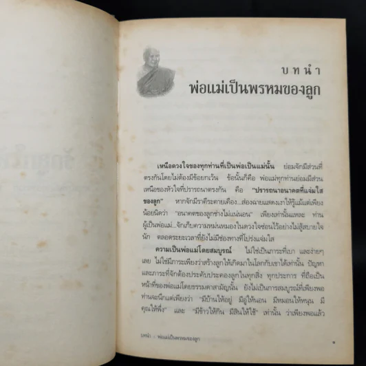 รักลูกให้ถูกทาง - พระพรหมมังคลาจารย์ หลวงพ่อปัญญานันทภิกขุ รูปที่ 11