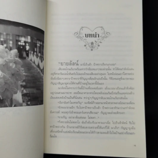 มายารักข้ามภพ - ทักษิณา รูปที่ 9