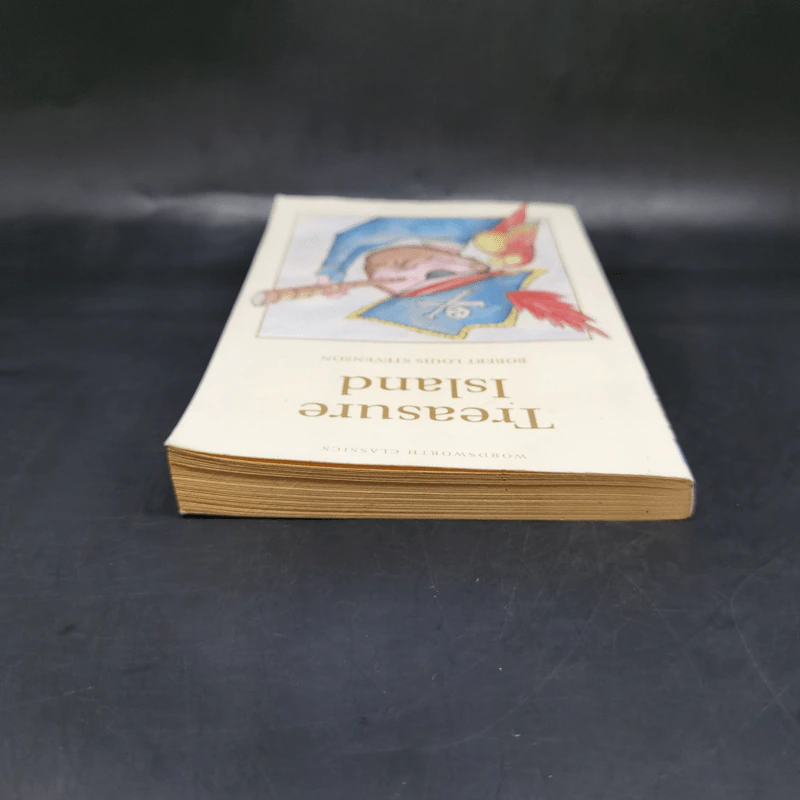 Treasure Island - Robert Louis Stevenson รูปที่ 6