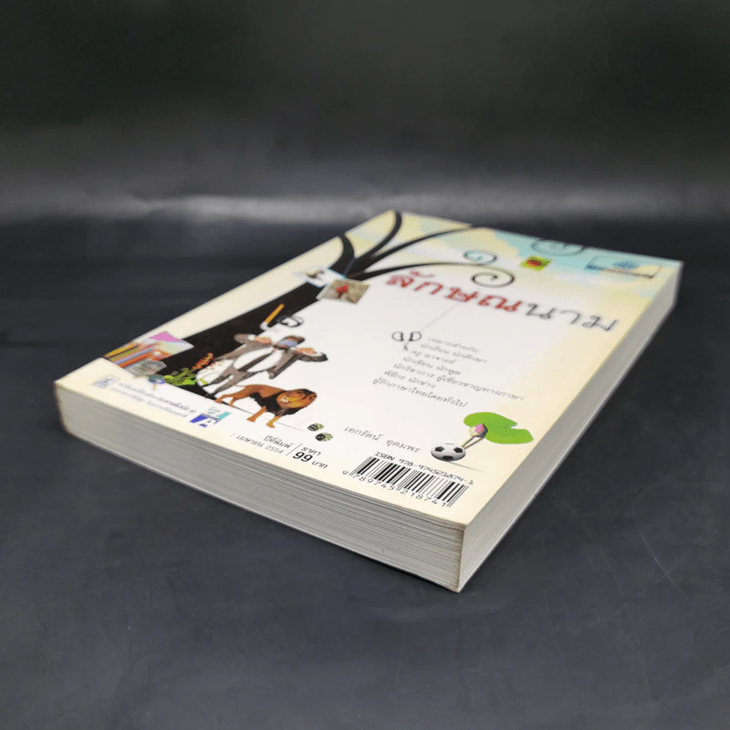 ลักษณนาม - เอกรัตน์ อุดมพร รูปที่ 7