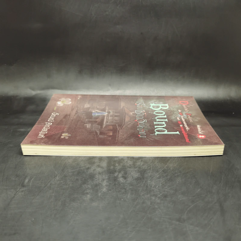 Bound เรือนซากวิญญาณ - อัณณ์ คณัสนันท์ รูปที่ 5