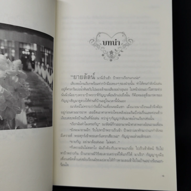 มายารักข้ามภพ - ทักษิณา รูปที่ 9