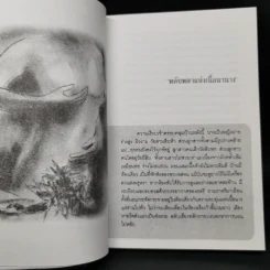 พลับพลาแห่งเนื้อนานาง - ฉลิบไร รูปที่ 11