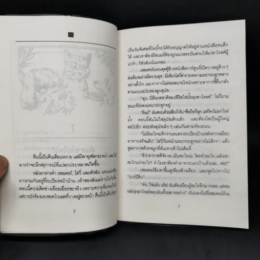 ตามหาผีผักกาด - ต๊อกแต๊ก รูปที่ 10