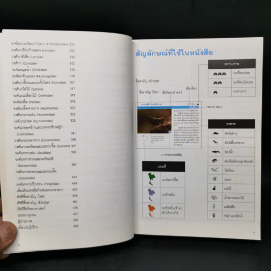 Thailand Bird Guide คู่มือจำแนกชนิดนกด้วยภาพถ่ายที่สมบูรณ์ที่สุด - รุ่งโรจน์ จุกมงคล รูปที่ 11
