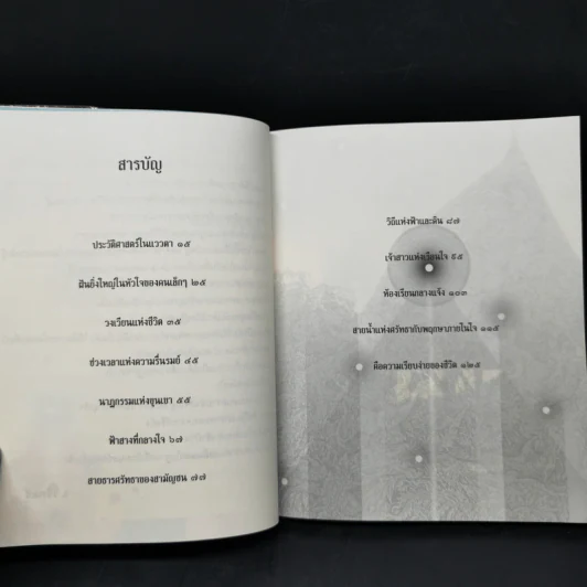 เสกศิลป์แผ่นดินใจ - เสกศิลป์ วิชญางกูร รูปที่ 10