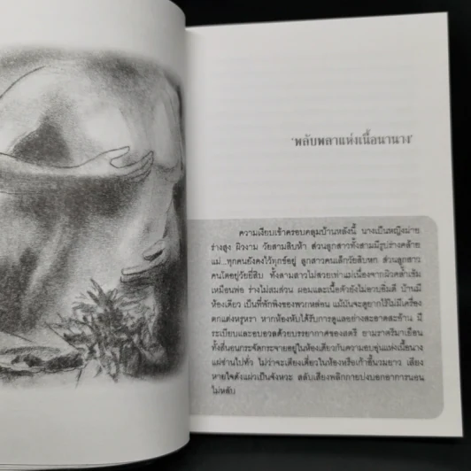 พลับพลาแห่งเนื้อนานาง - ฉลิบไร รูปที่ 11