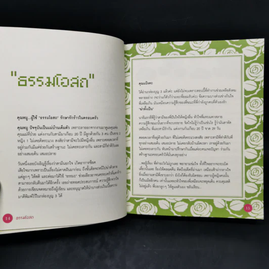 Love Box เลิฟบ็อกซ์ Boon Box 3 กล่องบุญ - ภัทริน ซอโสตถิกุล รูปที่ 9