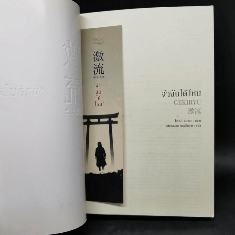 จำฉันได้ไหม - โยะชิกิ ชิบาตะ รูปที่ 8