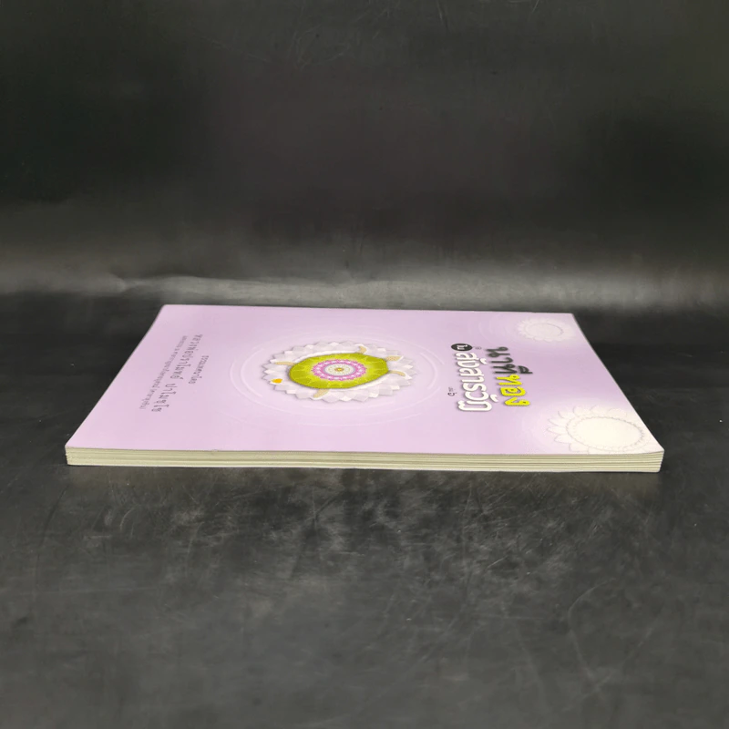 นาทีทองในสังสารวัฏ เล่ม 6 - หลวงพ่อปราโมทย์ ปาโมชโช รูปที่ 5