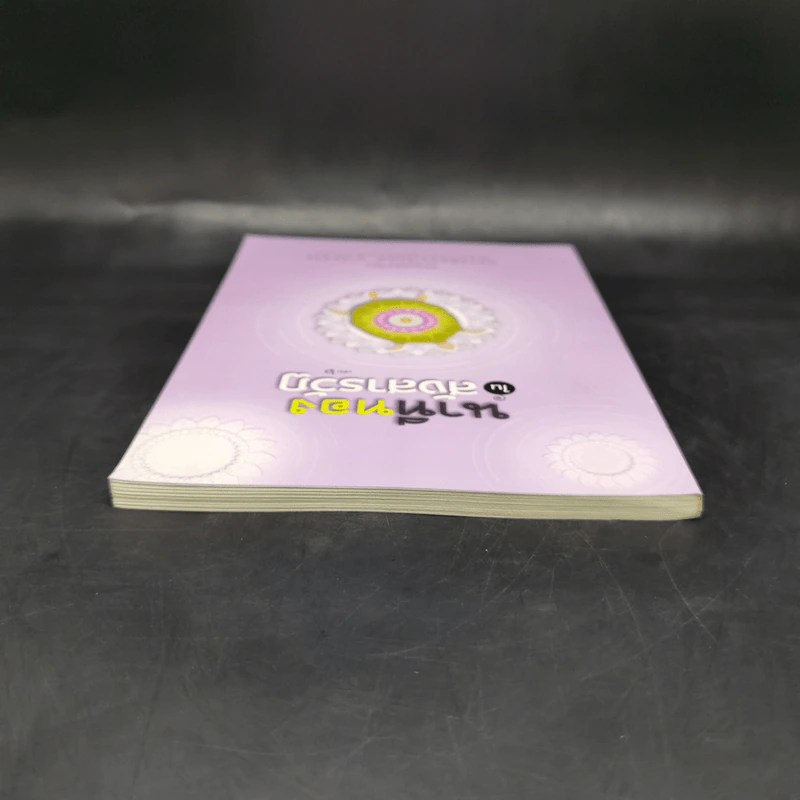 นาทีทองในสังสารวัฏ เล่ม 6 - หลวงพ่อปราโมทย์ ปาโมชโช รูปที่ 6