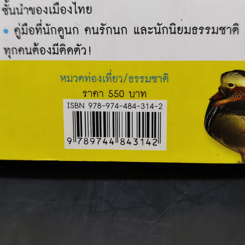 Thailand Bird Guide คู่มือจำแนกชนิดนกด้วยภาพถ่ายที่สมบูรณ์ที่สุด - รุ่งโรจน์ จุกมงคล รูปที่ 14