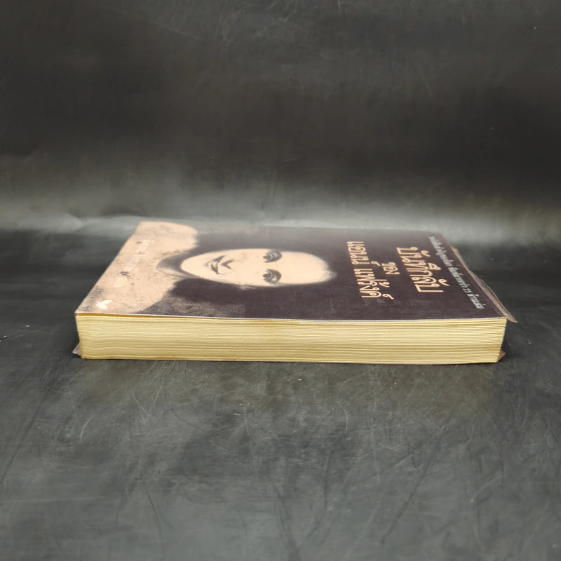 บันทึกลับของแอนน์ แฟร้งค์ รูปที่ 5
