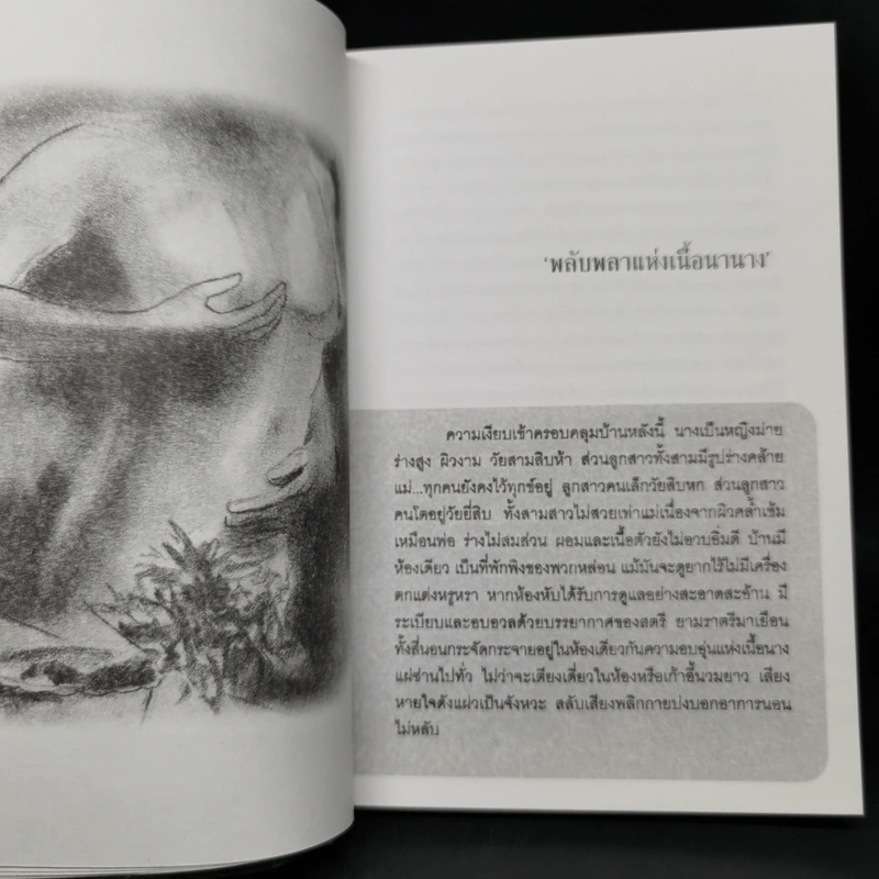 พลับพลาแห่งเนื้อนานาง - ฉลิบไร รูปที่ 11