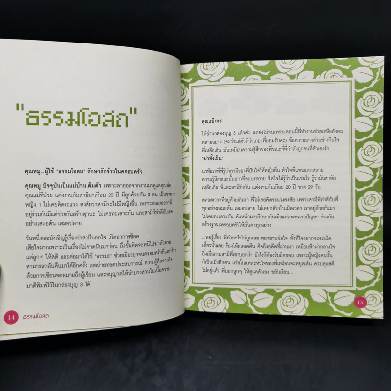 Love Box เลิฟบ็อกซ์ Boon Box 3 กล่องบุญ - ภัทริน ซอโสตถิกุล รูปที่ 9