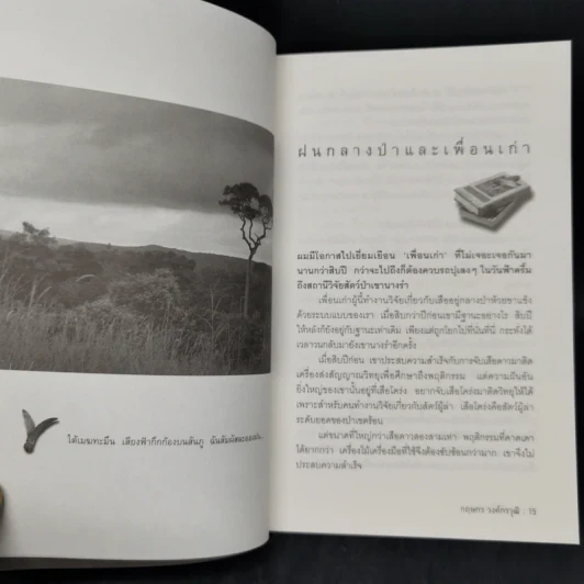 บางสิ่งที่สุกสกาว - กฤษกร วงค์กรวุฒิ รูปที่ 10