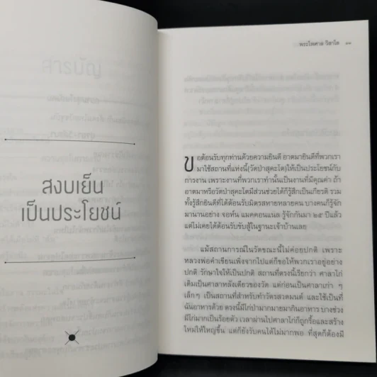 ทำเต็มที่แต่ไม่ซีเรียส - พระไพศาล วิสาโล รูปที่ 10