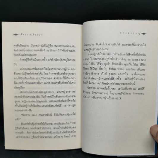 ช่างสำราญ - เดือนวาด พิมวนา รูปที่ 10