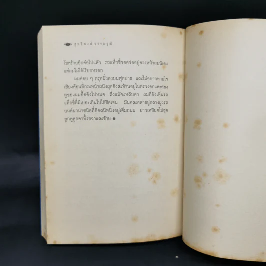 รากเหง้า - สุทธิพงษ์ ธรรมวุฒิ รูปที่ 10