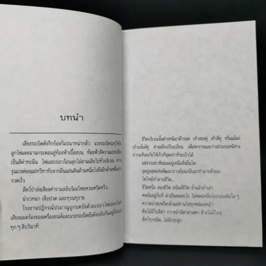 ดี เอน เอ DNA - วีรวัฒน์ กนกนุเคราะห์ รูปที่ 9