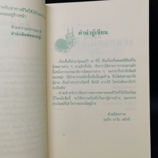 กลางใจเมืองหลวง - มธุริน อาร์ม สมิทธิ รูปที่ 9