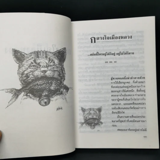 กลางใจเมืองหลวง - มธุริน อาร์ม สมิทธิ รูปที่ 11