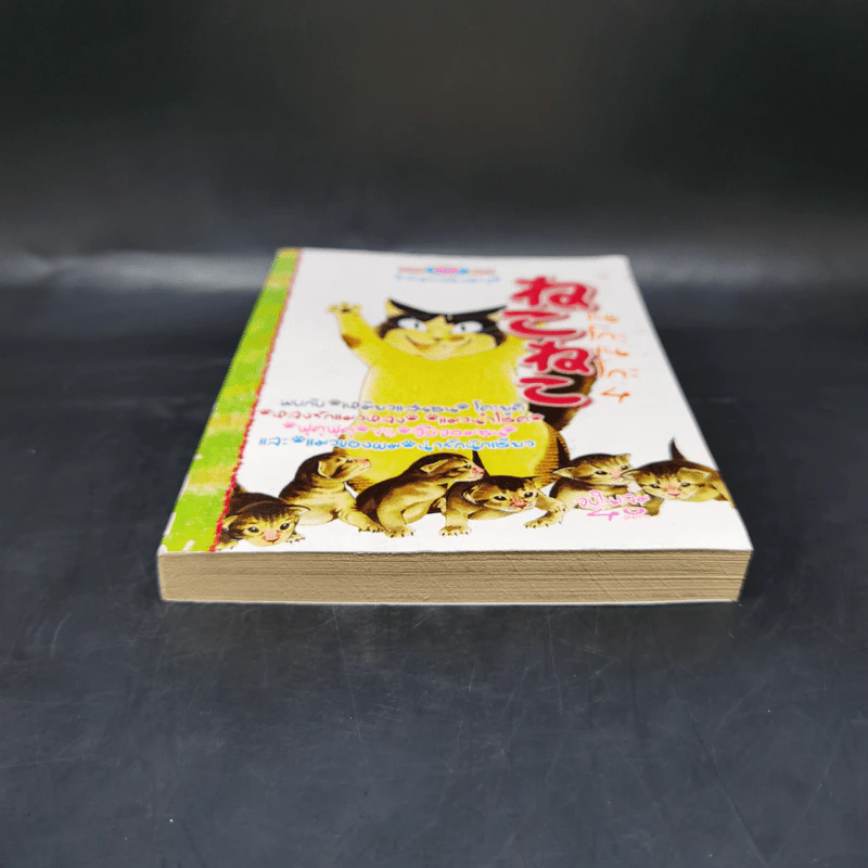 การ์ตูนหมึกจีน เนโกะเนโกะ เล่ม 4 รูปที่ 4